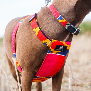 Dakar Dog Harness image 1