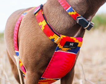 Dakar Dog Harness