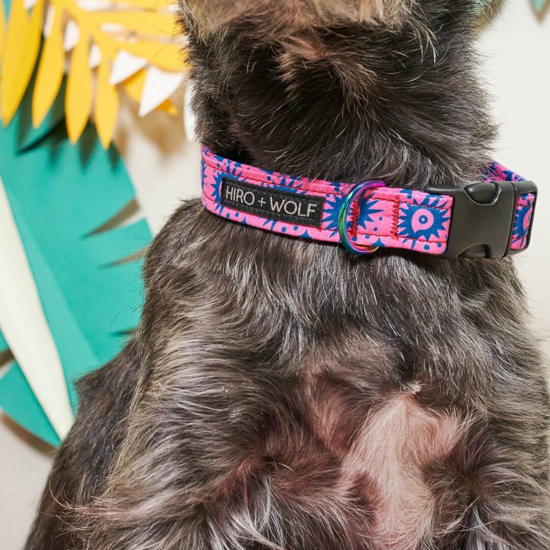 hiro and wolf dog collars