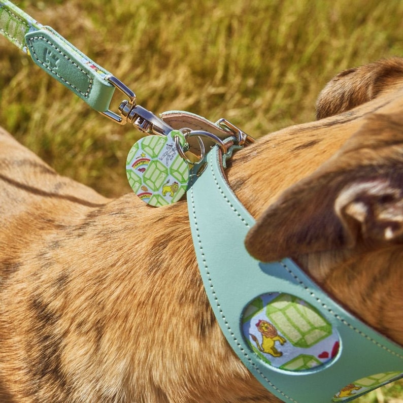 Emerald City Hound Collar image 3