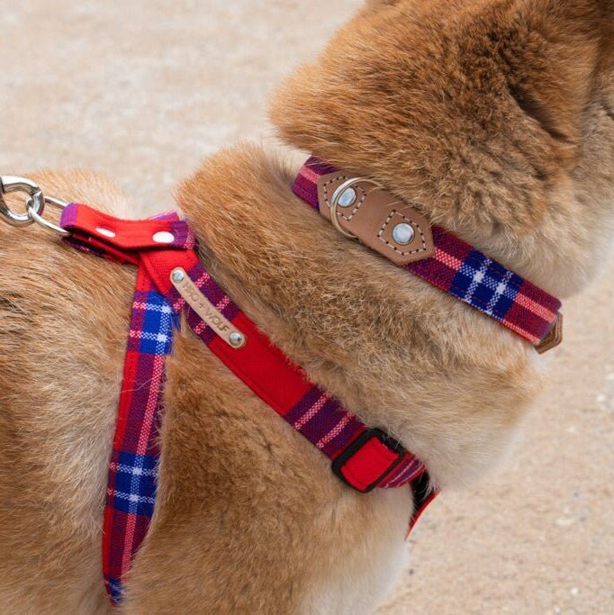 Collier Pour Chien Rouge Shuka