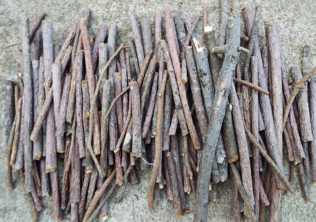 White Pine Sticks Bundle Pine Tree Wood Sticks Wooden Twigs Etsy