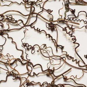 30 Grapevine tendril for fairy gardens rustic decor weddings natural eco-friendly crafts