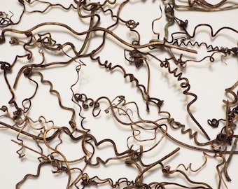 30 Grapevine tendril for fairy gardens rustic decor weddings natural eco-friendly crafts