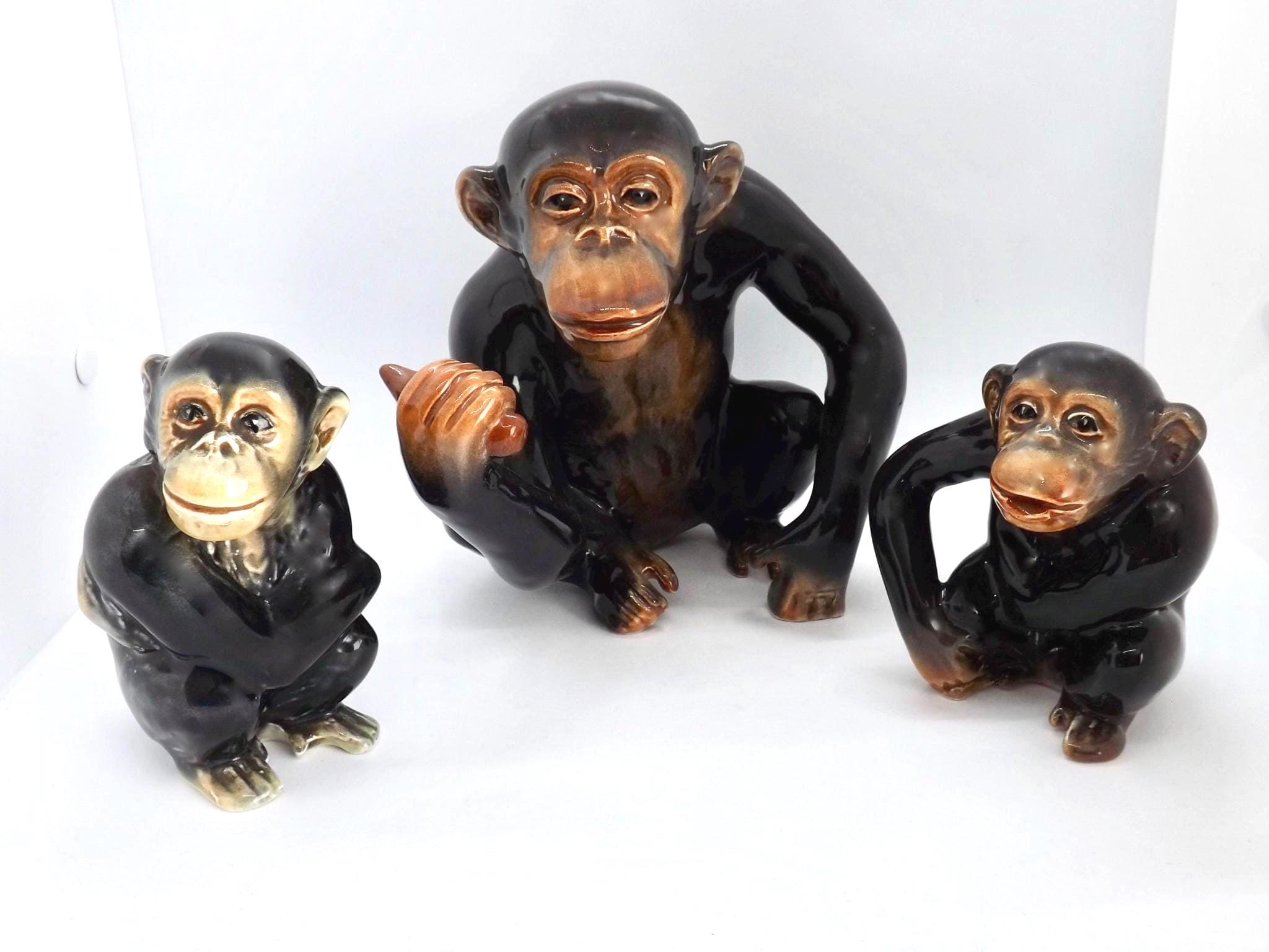 Set 4 Sottobicchieri Cheeky Chimpanzee – Ape, Monkey, Dad, Brother, Son – 9,5x9,5 Cm, Finitura Lucida, Retro In Sughero, Regalo Uomo - 5