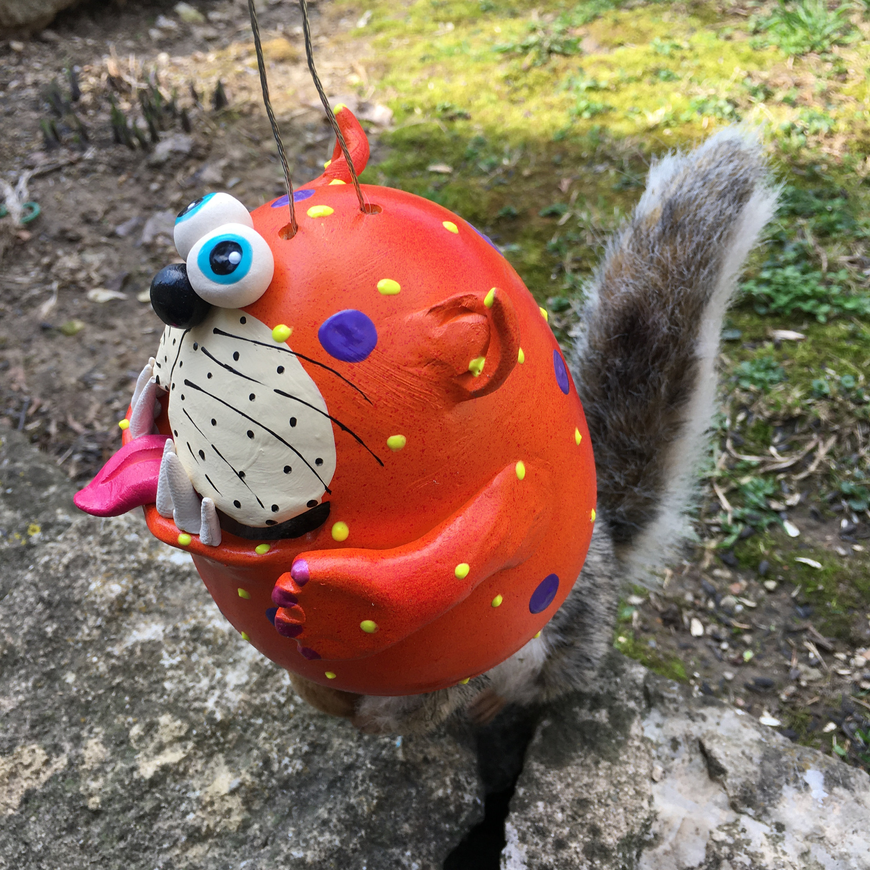 Funny Squirrel Feeder, Cat Squirrel Feeder,Garden Decor,Bird Feeder ...