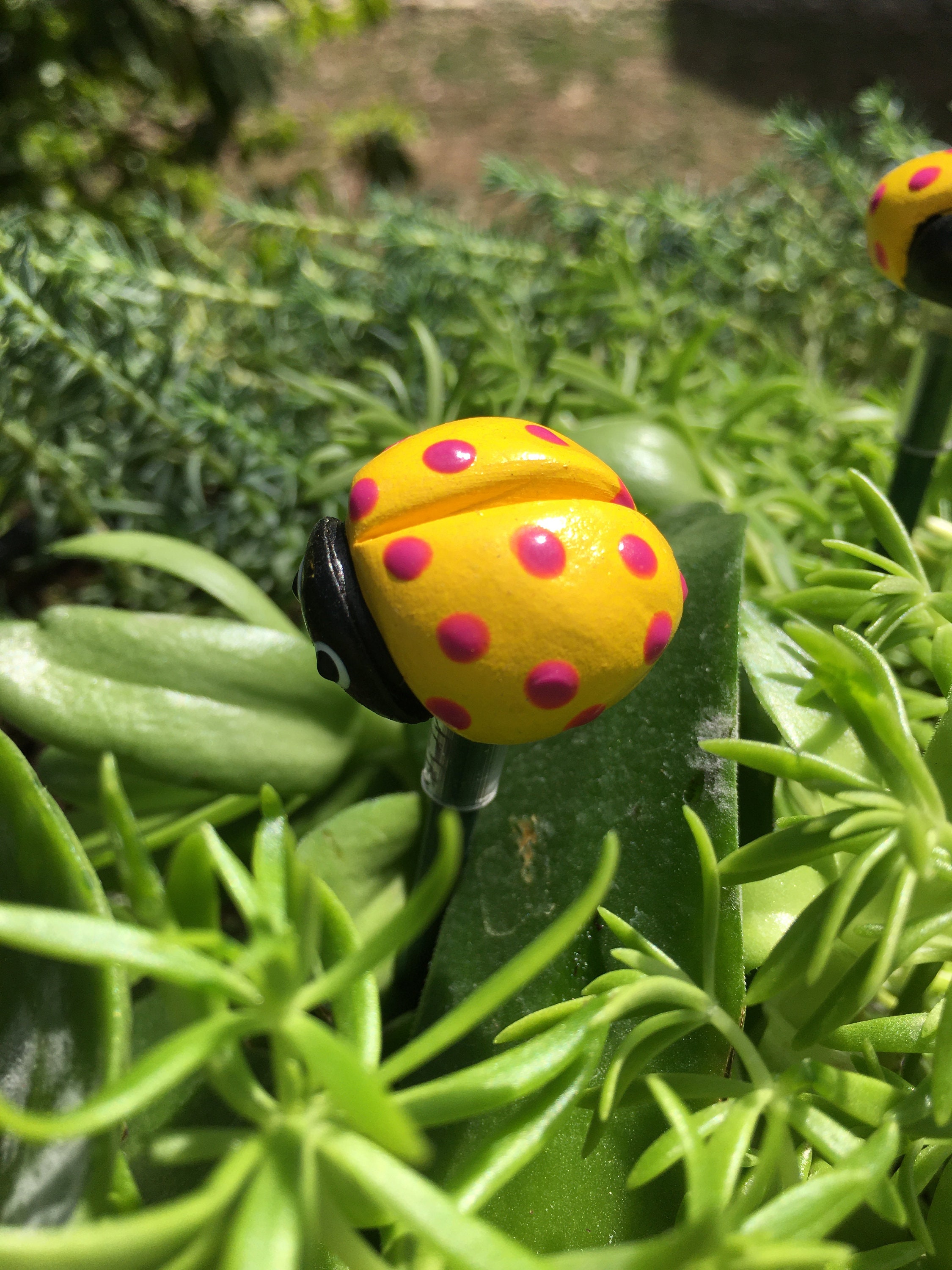 3 Ceramic Ladybug Garden Stakes,Yellow Ladybugs, Garden Stakes,Potted