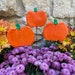 see more listings in the Fall Decor/Thanksgiving section