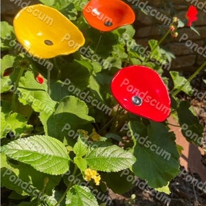 Set of 3 Mini Poppy Flower stakes,Poppy Flower Pot Cluster,Garden Stakes,Potted plants,Mother's Day Gift,Outdoor Garden Decor image 4