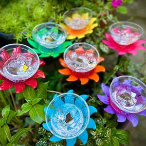 May include: Seven colorful flower-shaped hummingbird feeders with clear glass cups. The feeders are made of plastic and have a bright, cheerful design.
