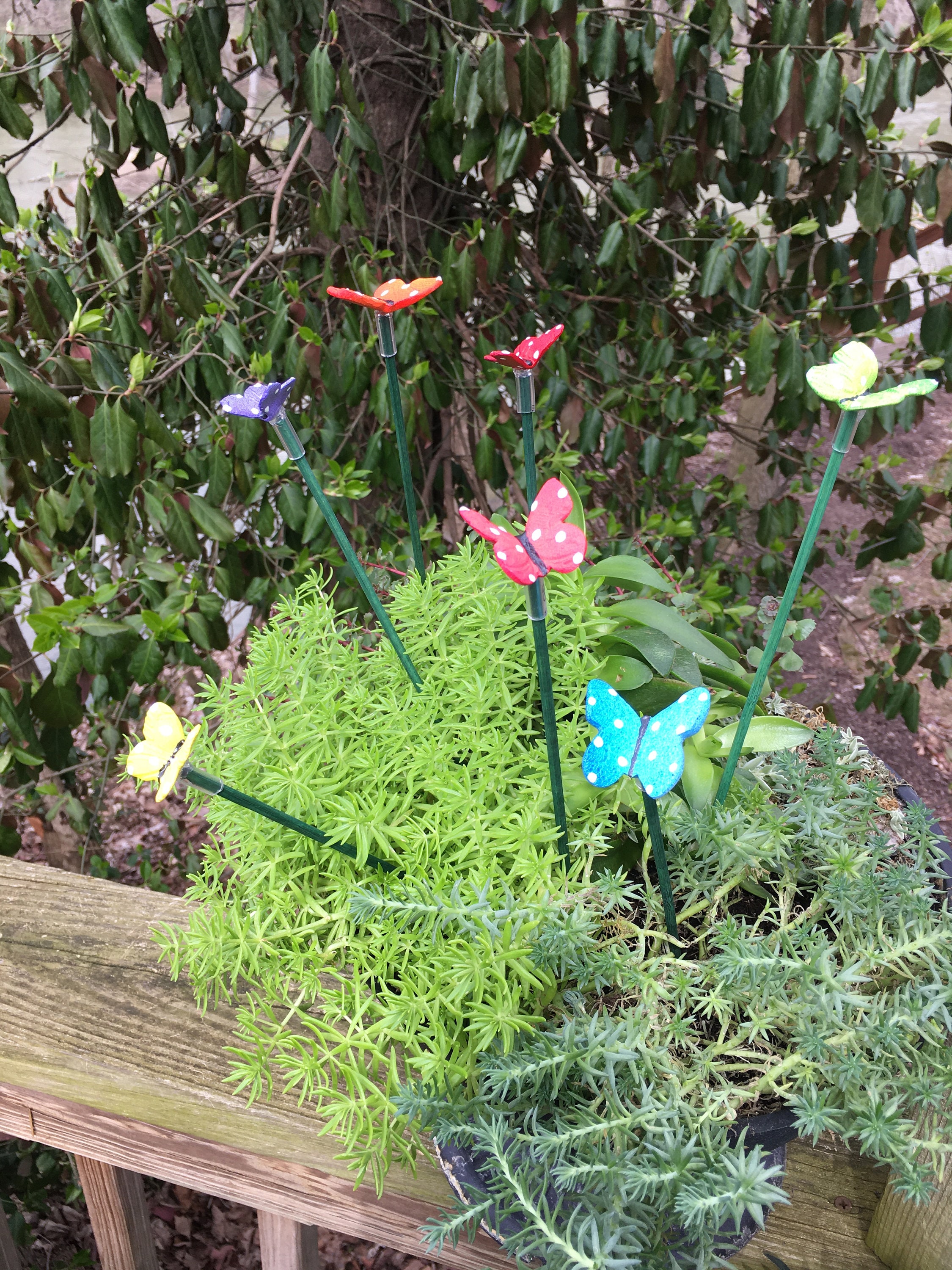 7 Ceramic Butterfly Garden Stakes, Garden Stakes,Potted plants, Great