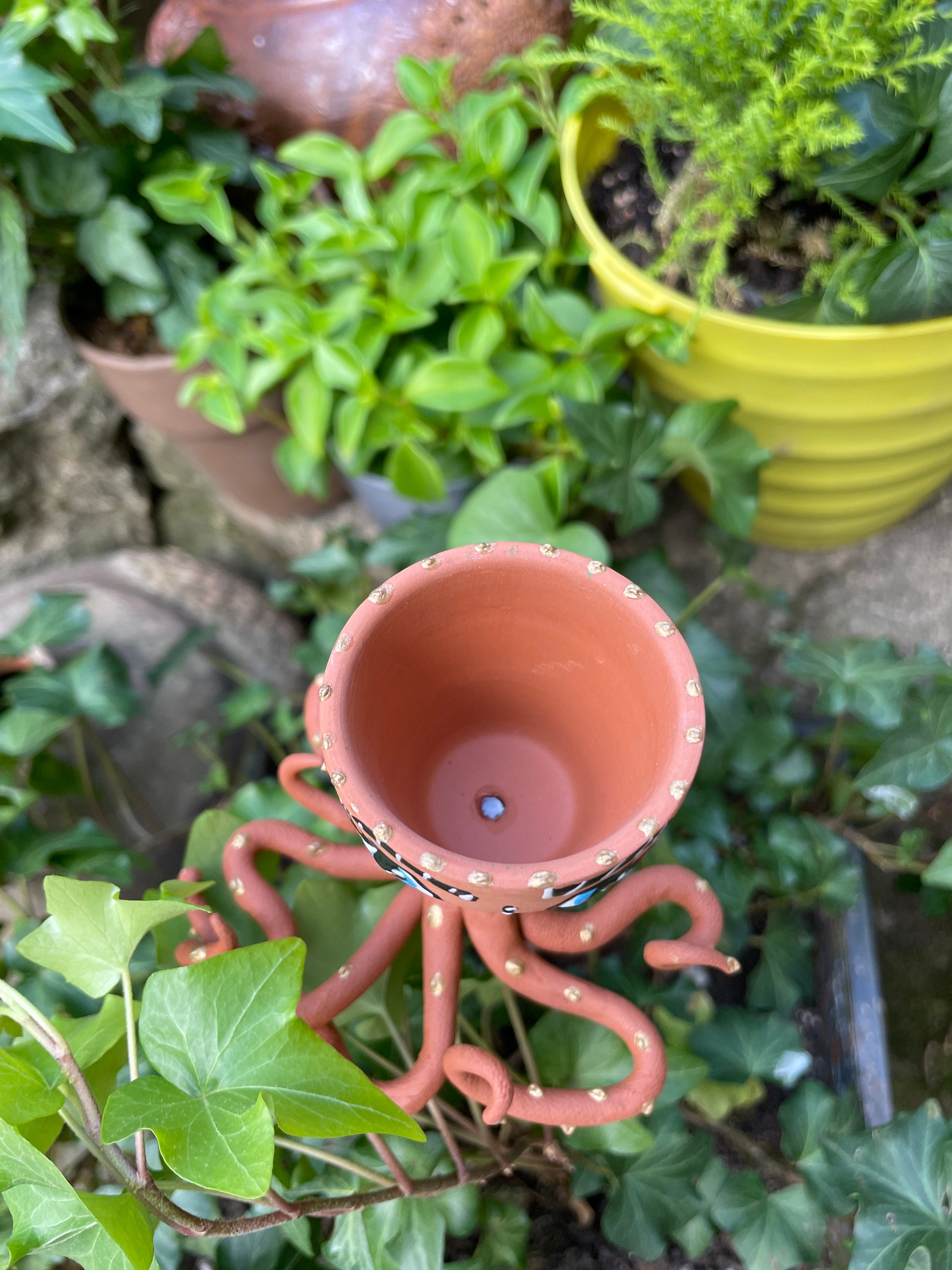 Octopus Garden Hendersonville Nc - ewa08en