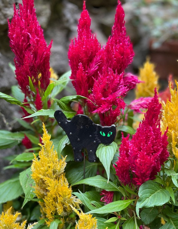 Black Cat Halloween Decor  Garden Stakes Yard Decor Halloween Decor Halloween Decor Potted Plant Decor Fall Home Accents Black Cat
