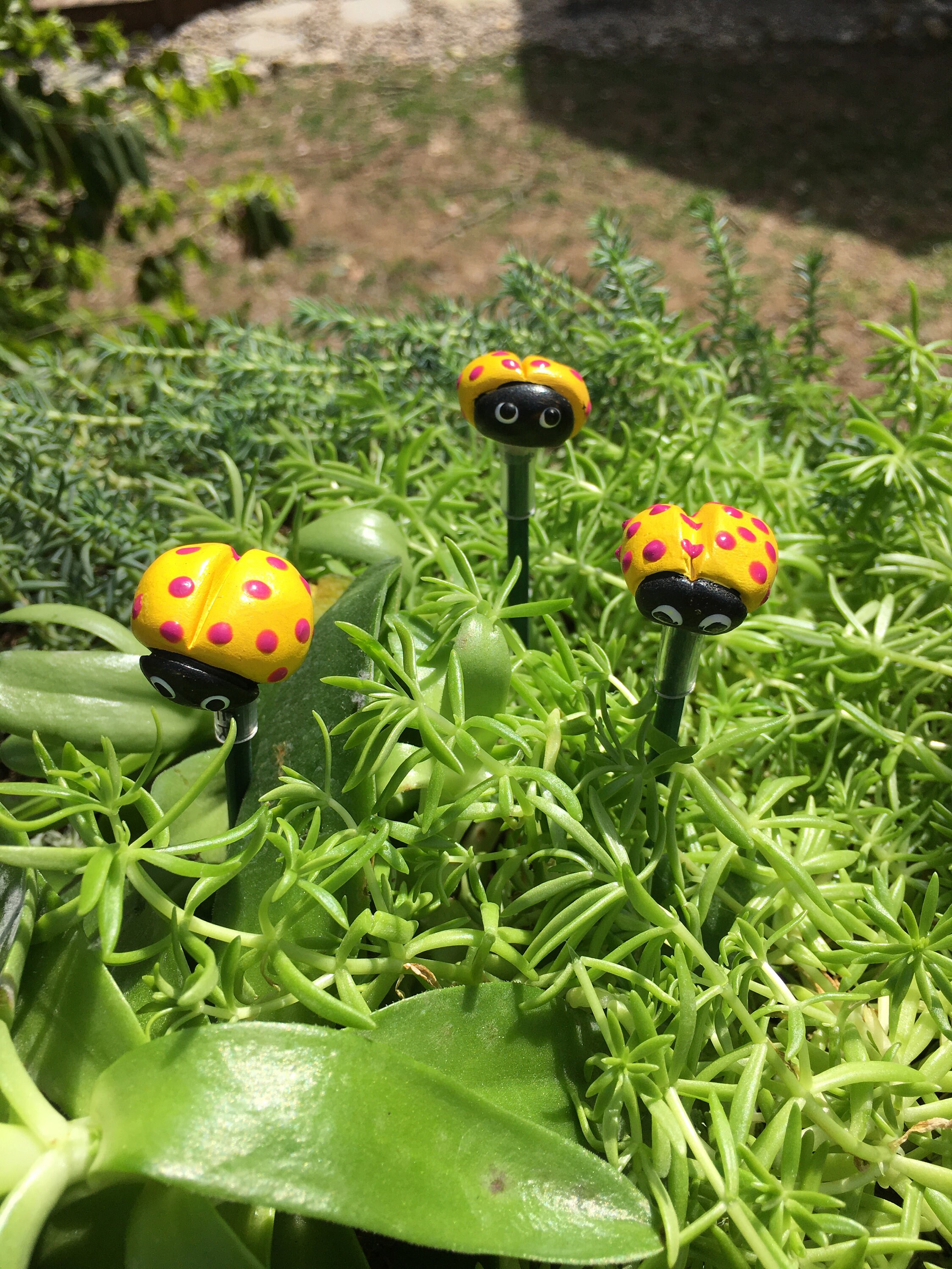 3 Ceramic Ladybug Garden Stakes,Yellow Ladybugs, Garden Stakes,Potted