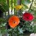 see more listings in the Garden Art section