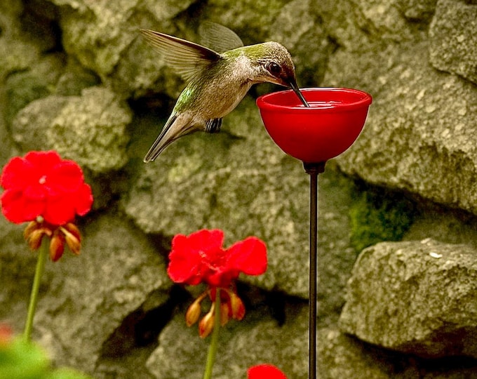 Featured listing image: Hummingbird Feeder,Hummingbird Lover Garden stake Butterfly Puddler,Garden Art,Gift For Her,Insect Drinking Cups Housewarming Gift