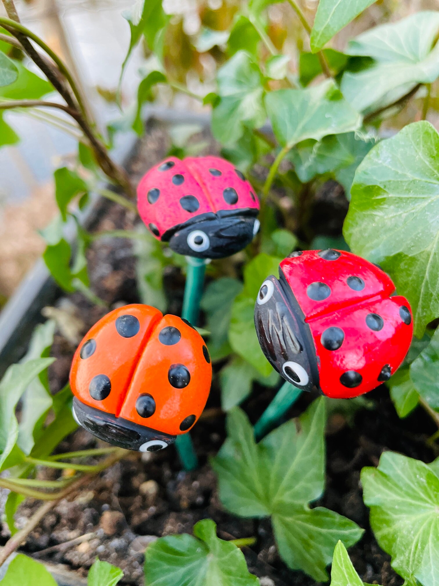 Bee Garden Decor YARNOW Ladybug Garden Stake Decor 10 Pack Outdoor Decorative Stakes Garden Sign Yard For Butterfly Decorations