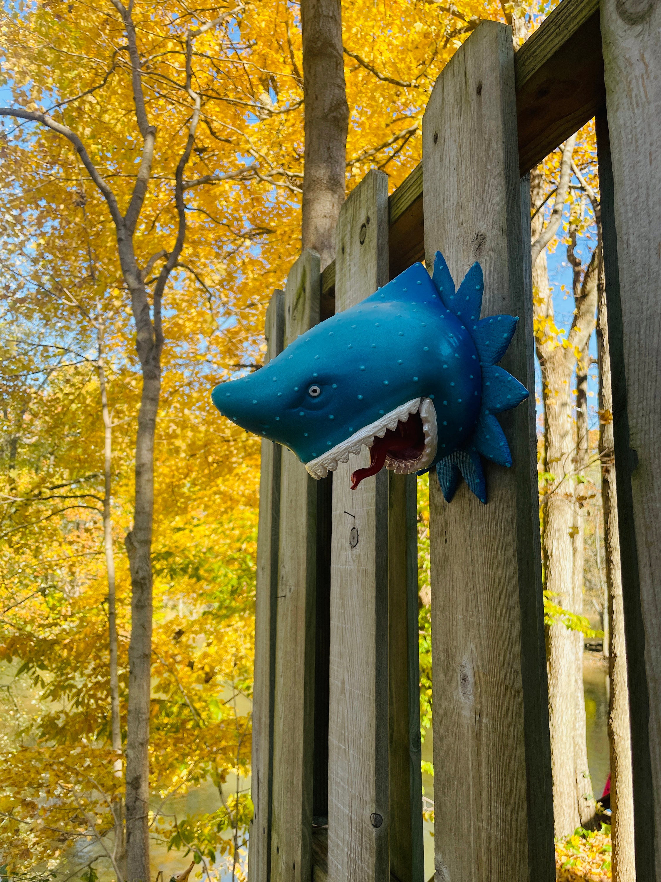 Shark Head Wall Sculpture Shark Gift Shark Teeth Shark Art Beach