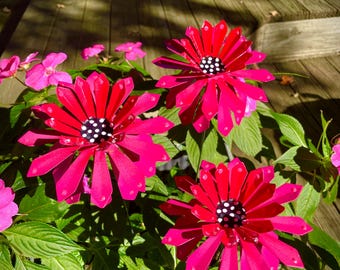 Set Of Three Pink Metal Zinnia Flower Garden Stakes,Yard decoration, Metal Art, Garden Decor, Metal Flowers Christmas Gift For Her
