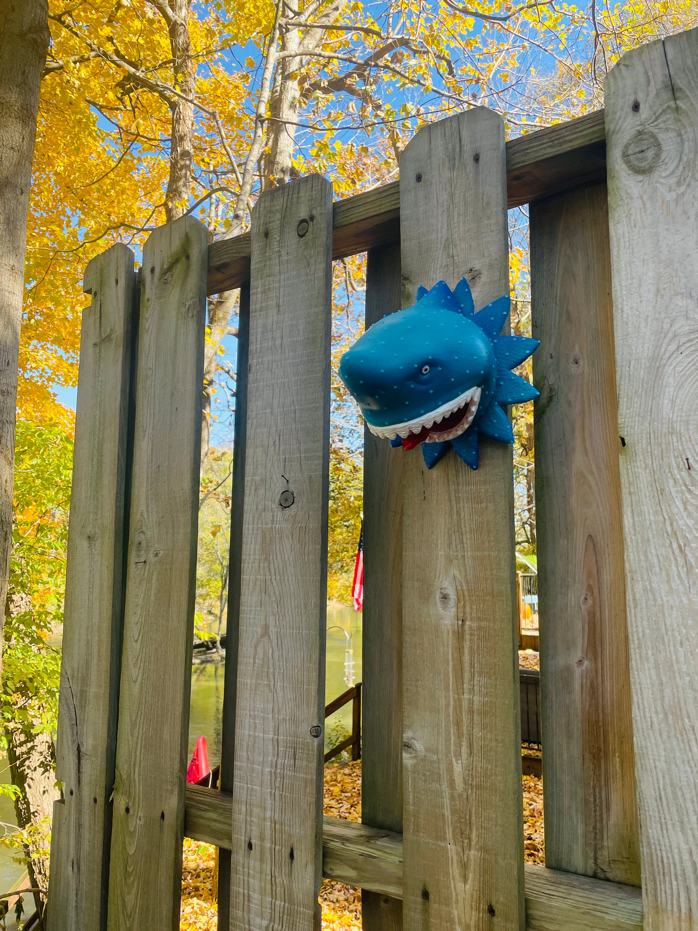 Shark Head Wall Sculpture Shark Gift Shark Teeth Shark Art Beach