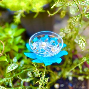 May include: A blue plastic flower with a clear glass bowl in the center. The bowl is filled with clear ice cubes. The flower is sitting on a bed of green leaves.
