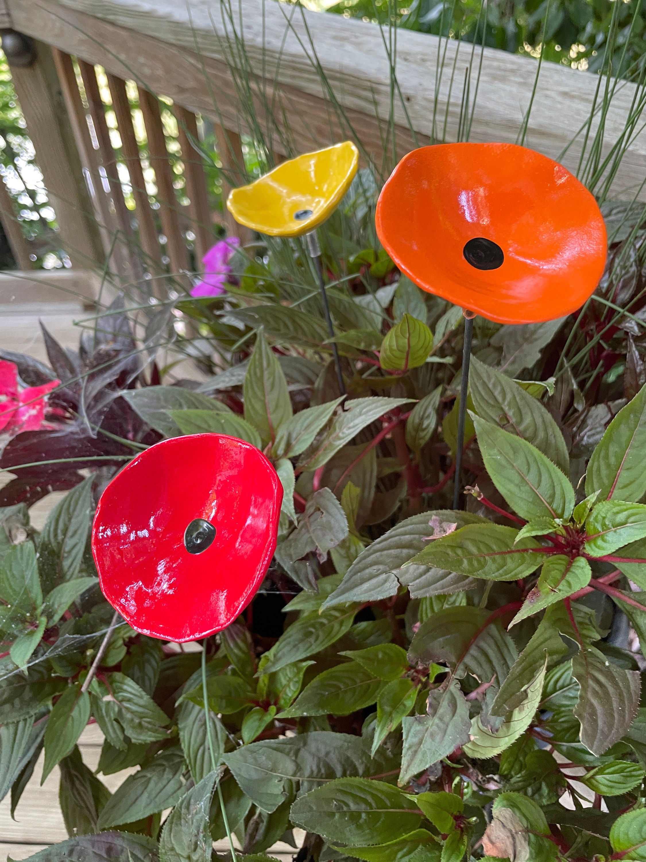 Plants For Mother's Day