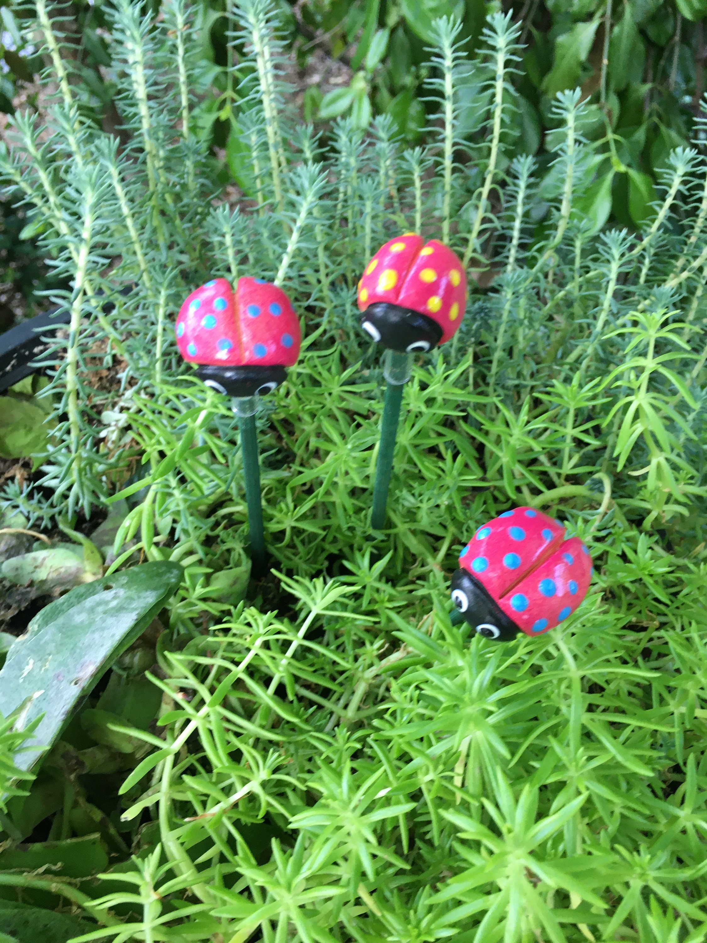 3 Ceramic Ladybug Garden Stakes,PINK Ladybugs, Garden ...