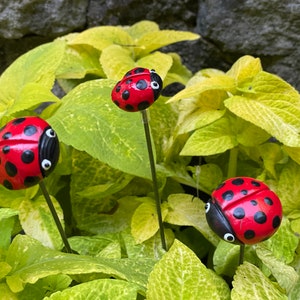 3 Ceramic Ladybug Garden Stakes, Garden Stakes,Potted plants, Great Gift,Lawn decor,Outdoor garden Stake,Garden Decor,Red Ladybugs