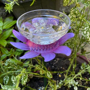 May include: Purple plastic flower with a clear glass bowl filled with water. The flower is sitting in a pot of dirt with green plants.