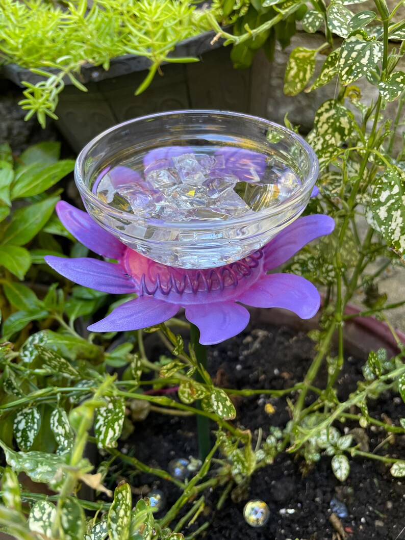 May include: Purple plastic flower with a clear glass bowl filled with water. The flower is sitting in a pot of dirt with green plants.