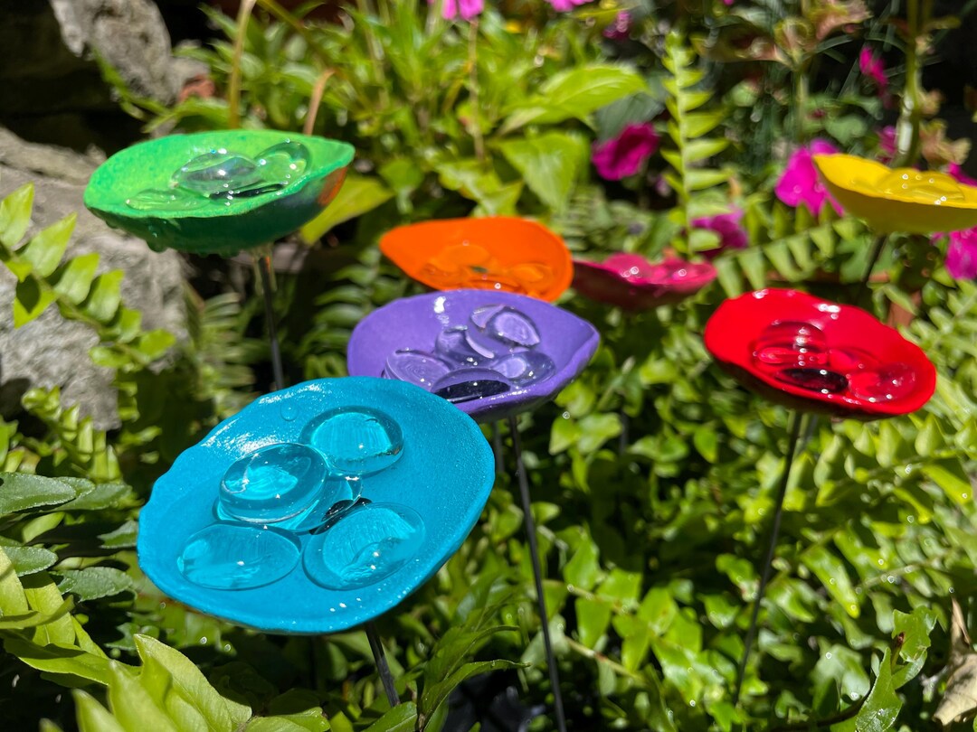 thumbnail image 2 of Bee Watering Station Butterfly Puddler Hummingbird Guyana 2 of 12