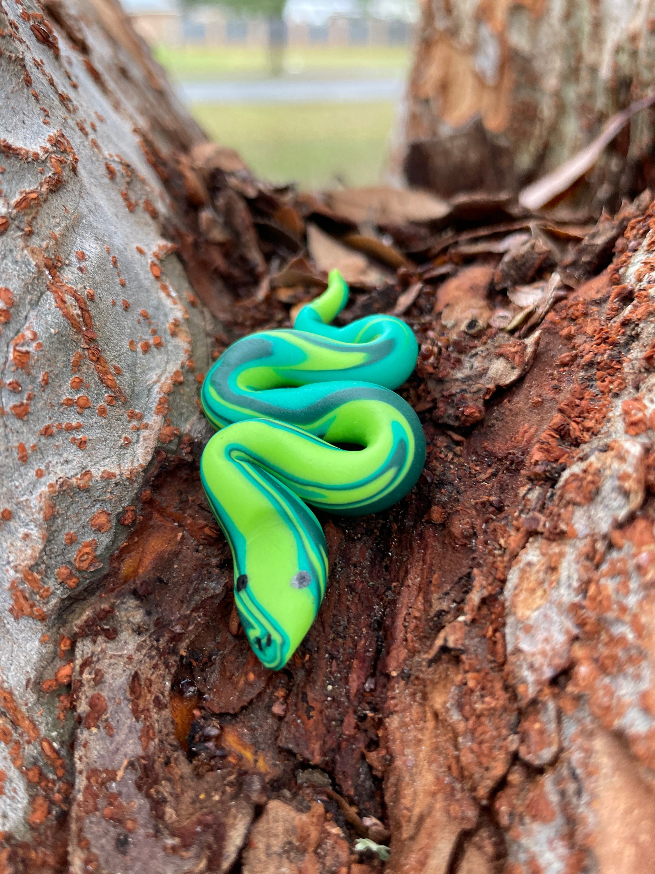 World'S Tiniest Snake: A 20 Year Mystery Finally Unveiled! - amhs23d