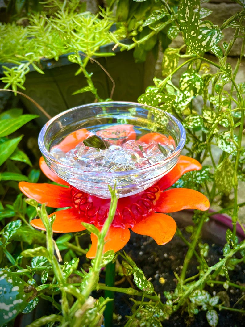 May include: A red and orange flower-shaped hummingbird feeder with a clear glass bowl filled with water and ice cubes. The feeder is sitting in a pot of green plants.