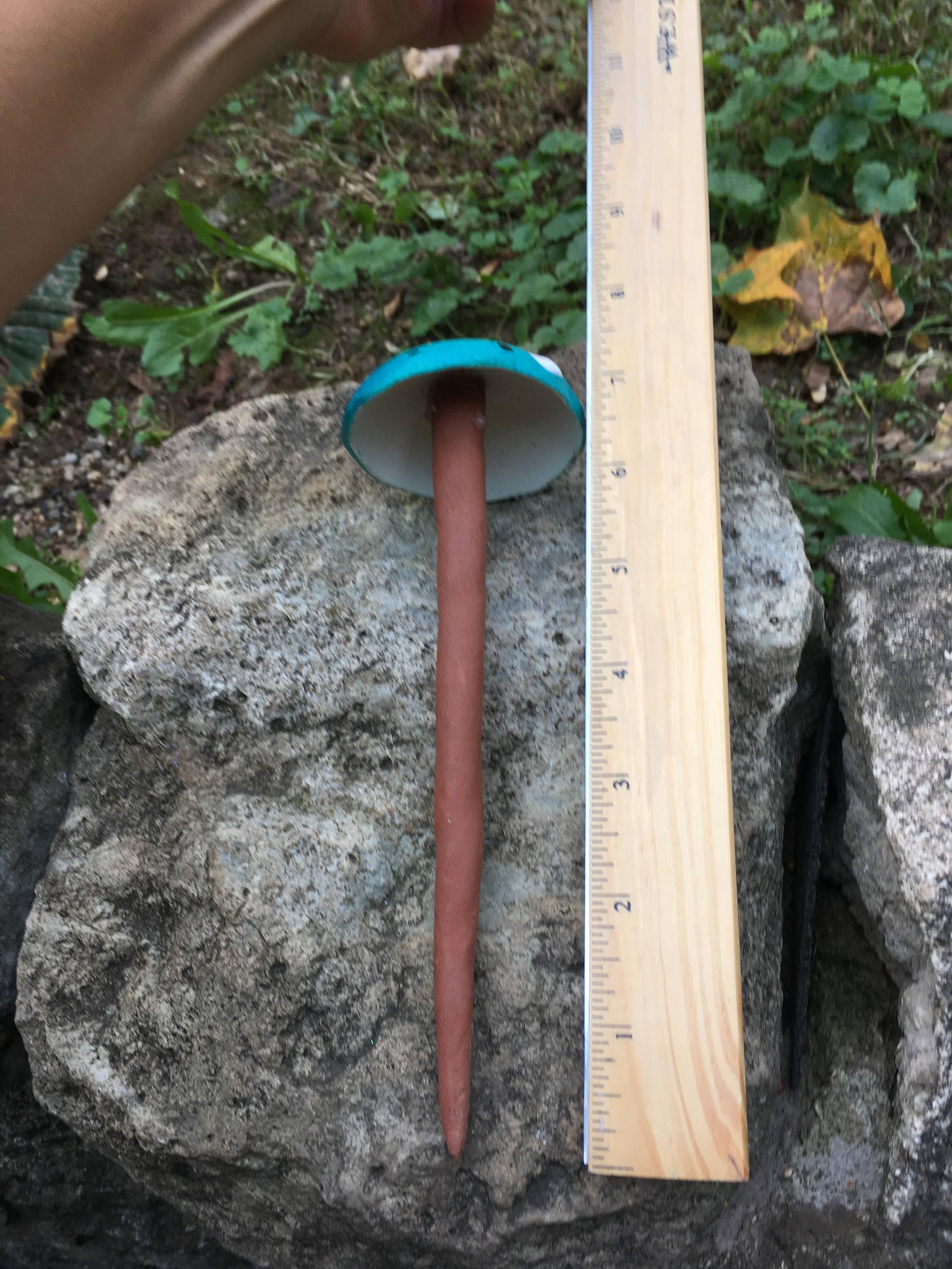 Blue Mushroom. Garden Stake, Clay Mushroom, Terrarium, Potted Plant