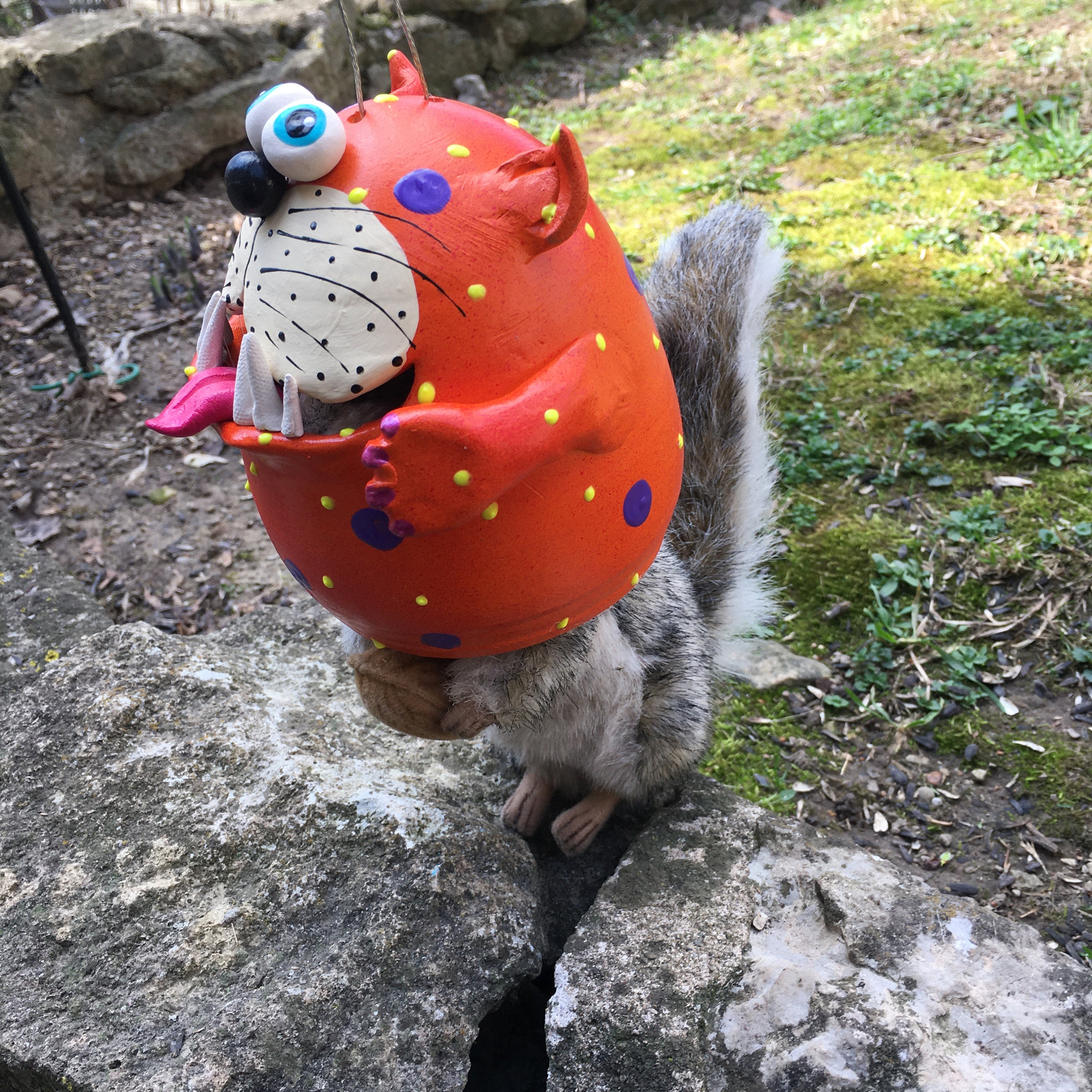 Funny Squirrel Feeder, Cat Squirrel Feeder,Garden Decor,Bird Feeder ...