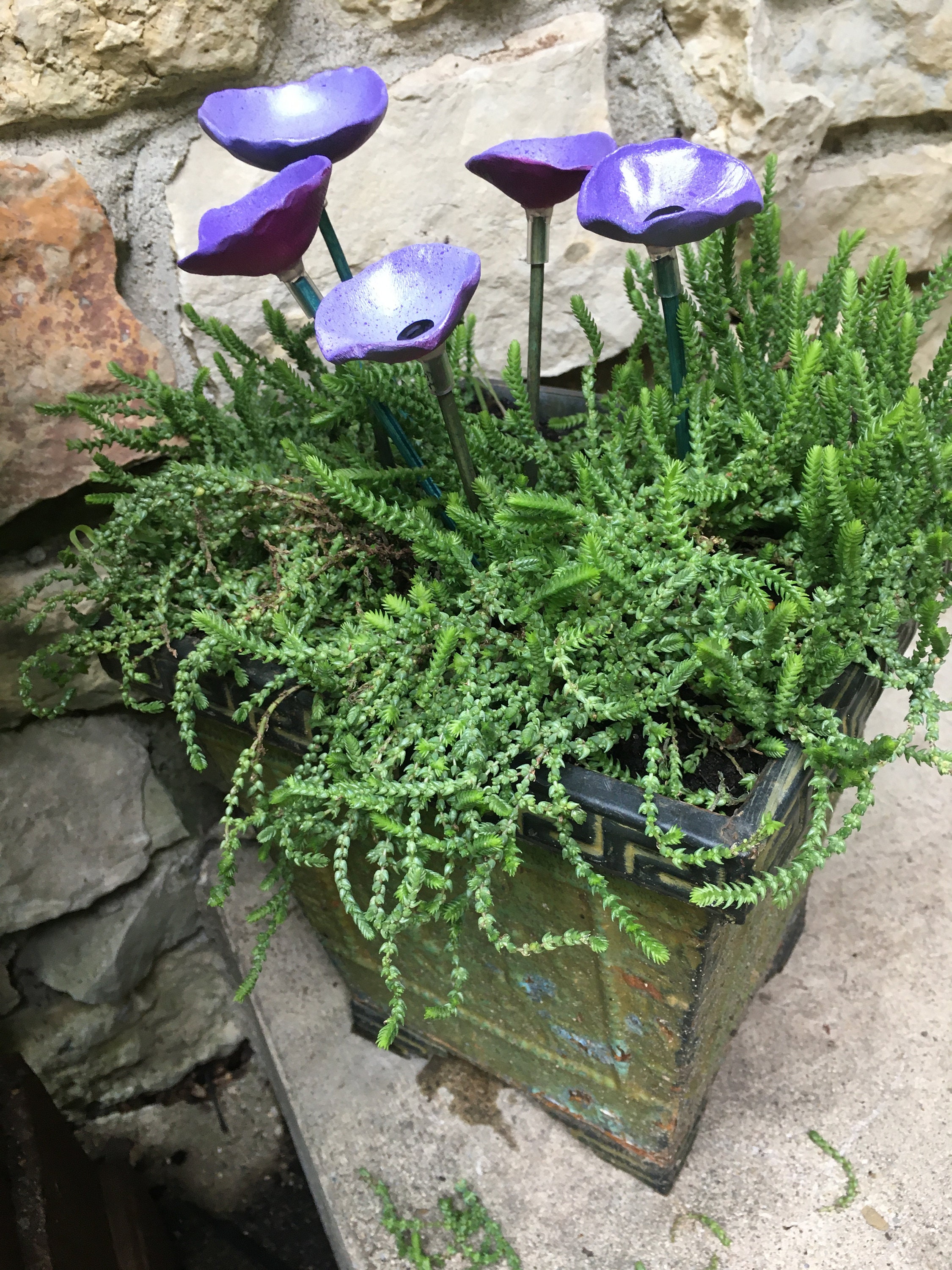 5 Poppy Flower Plant Stakes,Purple Poppy Flower Pot Cluster,Garden