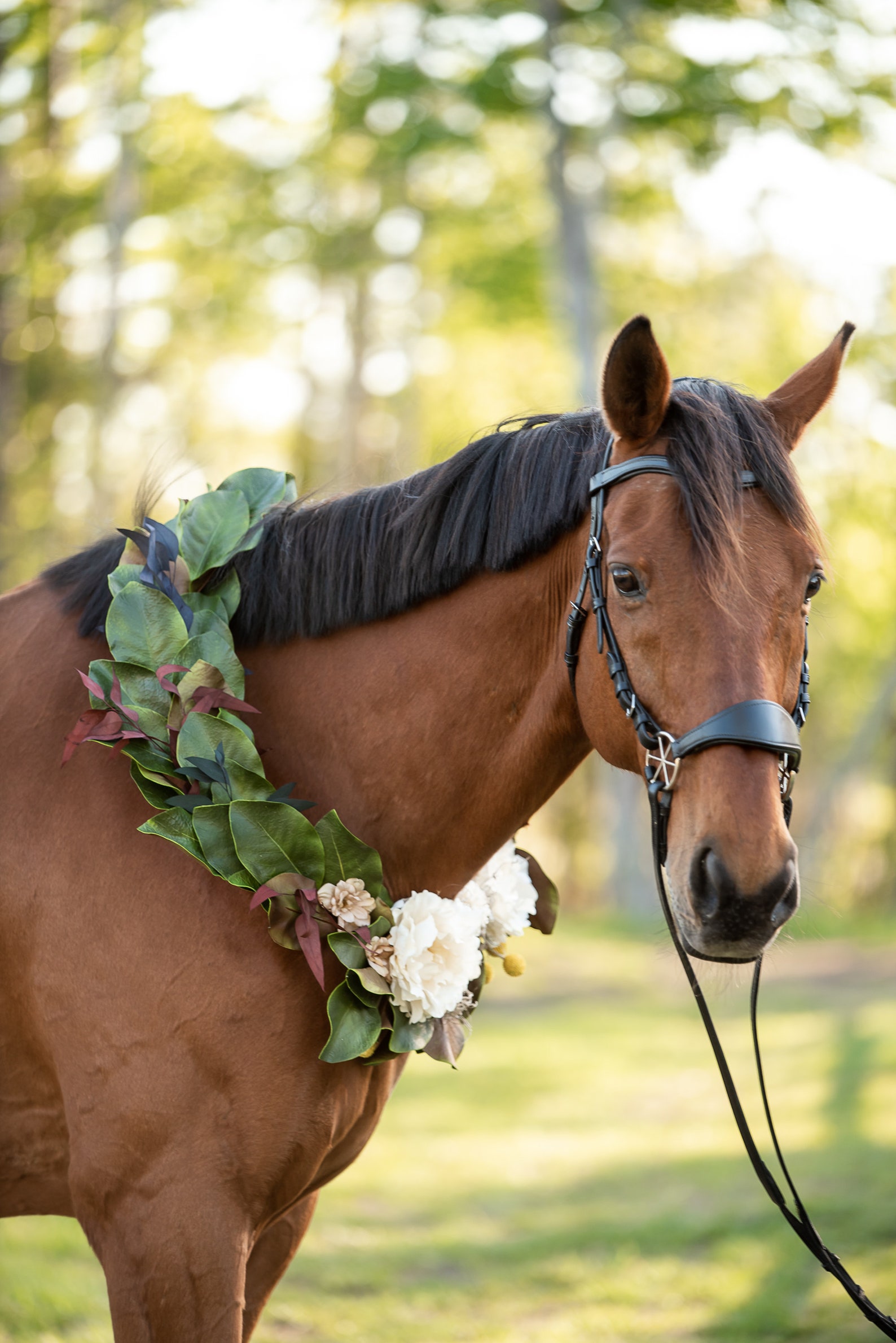 Magnolia Leaf Horse Galand Perfectly Southern Equestrian Etsy
