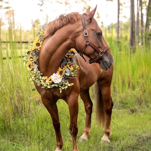 Horse Photography | Horse Garland | Horse Wreath | Horse Maternity Shoot | Equine Photography Garland | Bridal  Photography | Sunflower