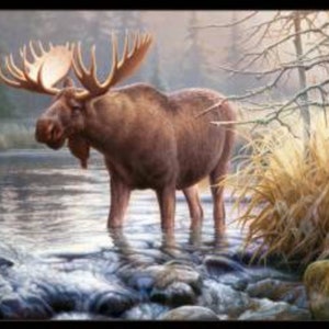 Large, bull moose panel from Elizabeth&#39;s Studio.  Panel is titled &quot;In His Domain&quot;.