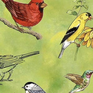 QT Fabrics &quot;Drawn to Birds&quot;. Green background and multicolored birds.