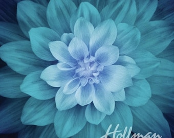 Hoffman  "Dream Big"  panel in a teal color.