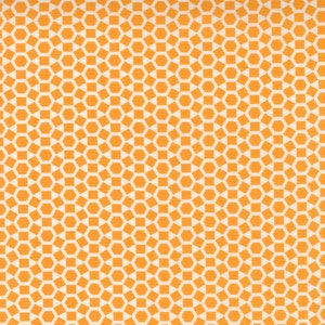 A great orange print from the &quot;One Fine Day&quot; collection by Bonnie and Camille for Moda.