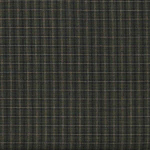 Green plaid yarn dye from Ki Diehl and Henry Glass Fabrics.