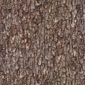 Pine Bark from the "Landscape Medley" line by Elizabeth's Studios.