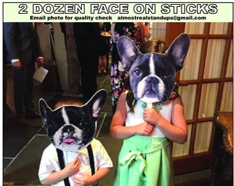 2 Dozen Face on sticks with wooden handle