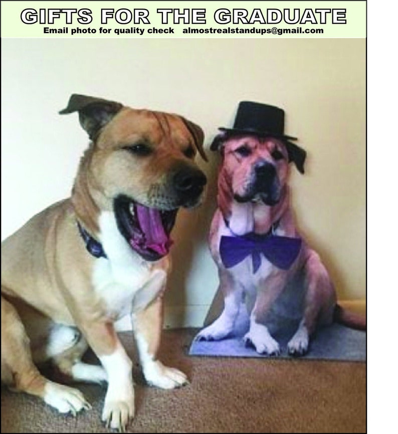 Puede incluir: Dos perros vestidos para la graduaci&oacute;n. Un perro lleva un sombrero de copa negro y una pajarita morada. El otro perro est&aacute; sentado y bostezando. El texto "GIFTS FOR THE GRADUATE" est&aacute; en la parte superior de la imagen. El texto "Email photo for quality check almostrealstandups@gmail.com" est&aacute; en la parte inferior de la imagen.