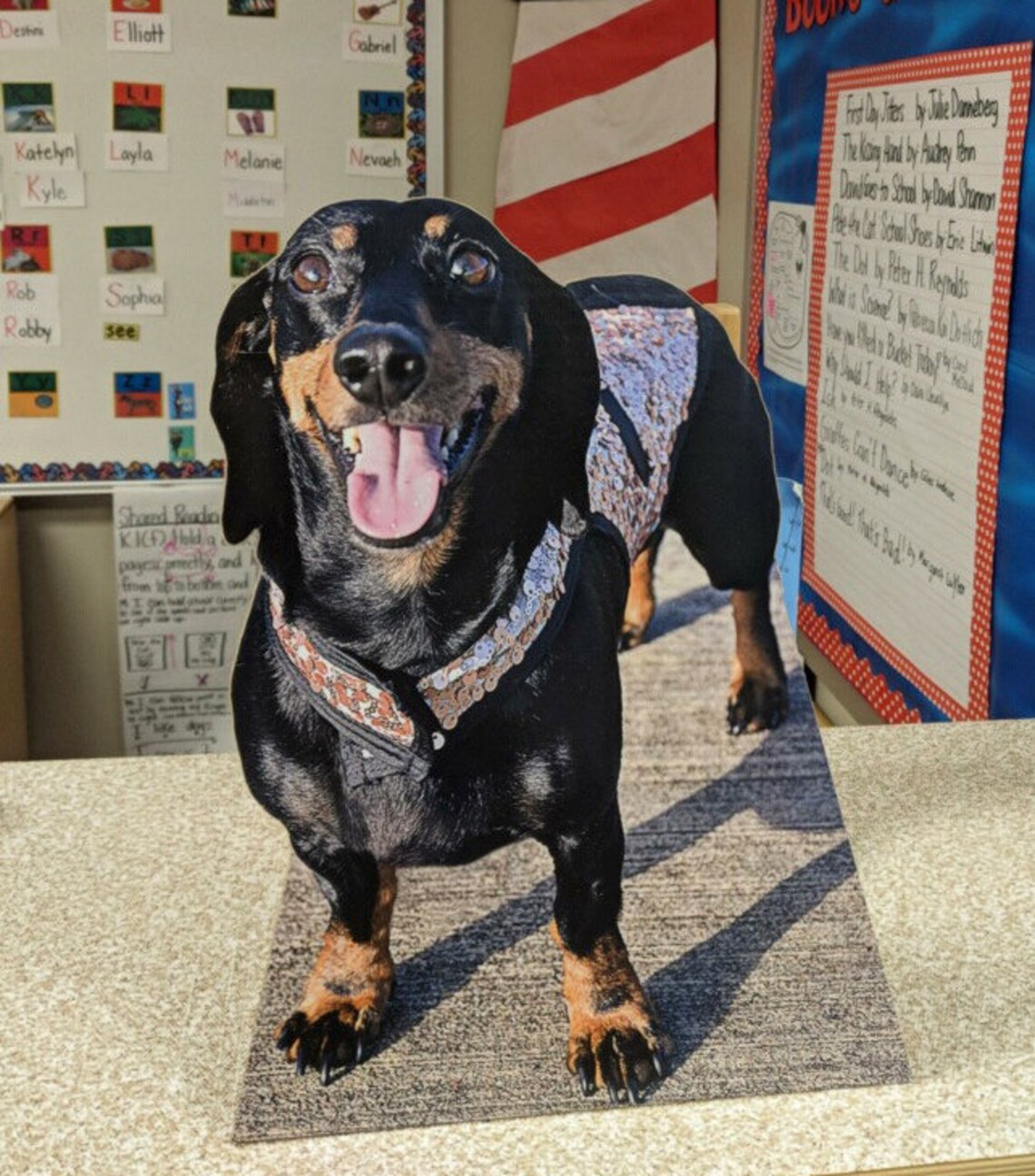 Custom cardboard cutouts cardboard dog or cardboard pet or Etsy