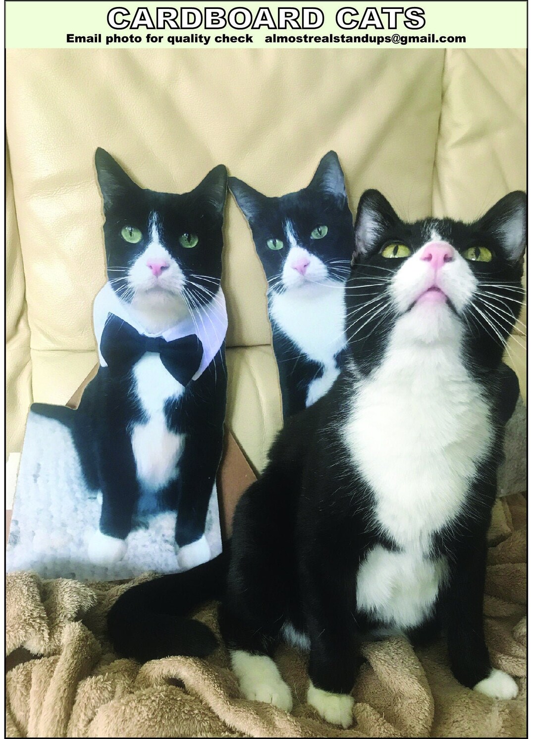 Custom Life Size Cardboard Cutout Cat Prop With Easel on the Back Etsy