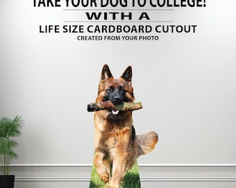 Graduate Gifts Take Your Dog To College with a Life Size Cardboard Cutout From Your Photo
