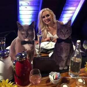 Puede incluir: Dos gatos con pajaritas est&aacute;n sentados en una mesa con una mujer. Los gatos son recortes de cart&oacute;n. La mesa est&aacute; puesta con vasos, una botella de agua y un plato de pastel.